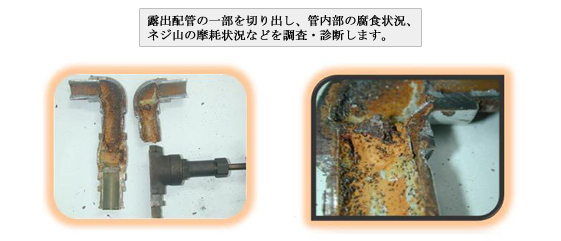 抜管調査.jpg