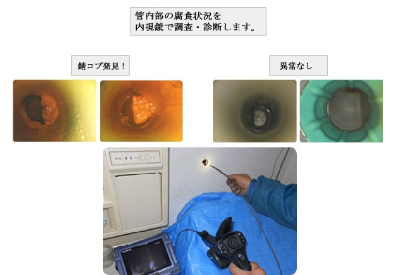 調査・診断3.jpg